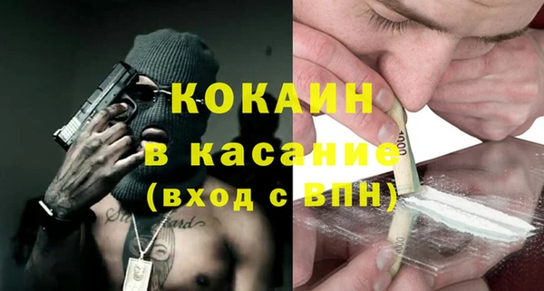 шишки Заводоуковск