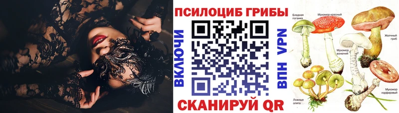 Купить закладки  Воткинск  Галлюциногенные грибы прущие грибы 